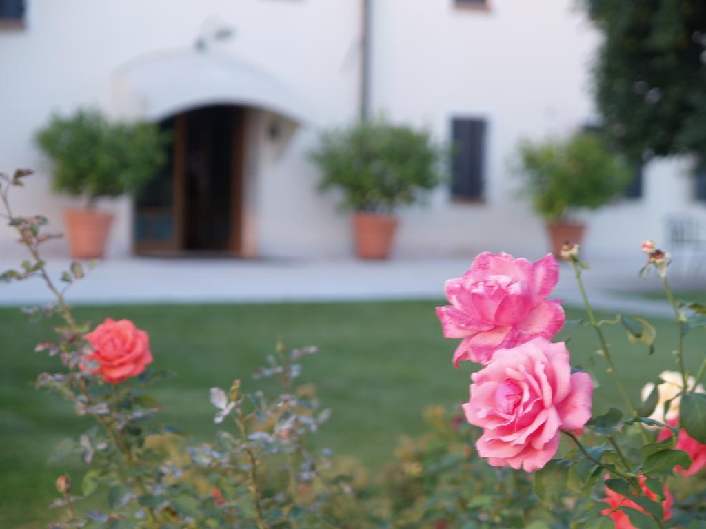Col Delle Rane Bed & Breakfast Caerano Di San Marco Exterior photo