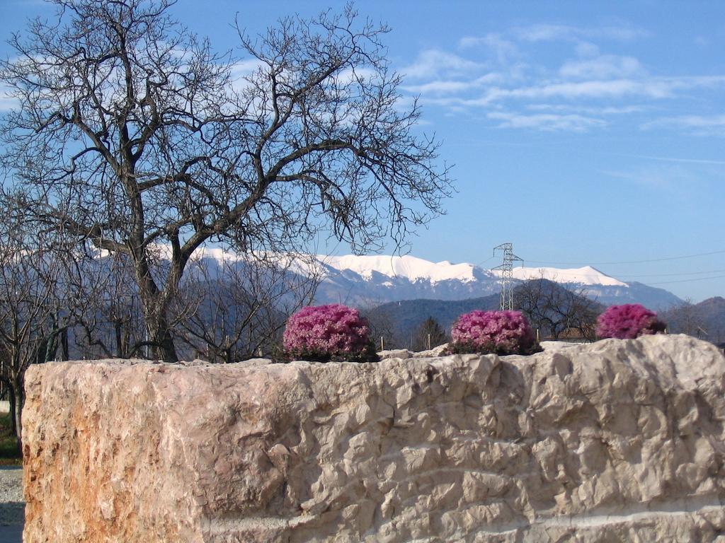 Col Delle Rane Bed & Breakfast Caerano Di San Marco Exterior photo